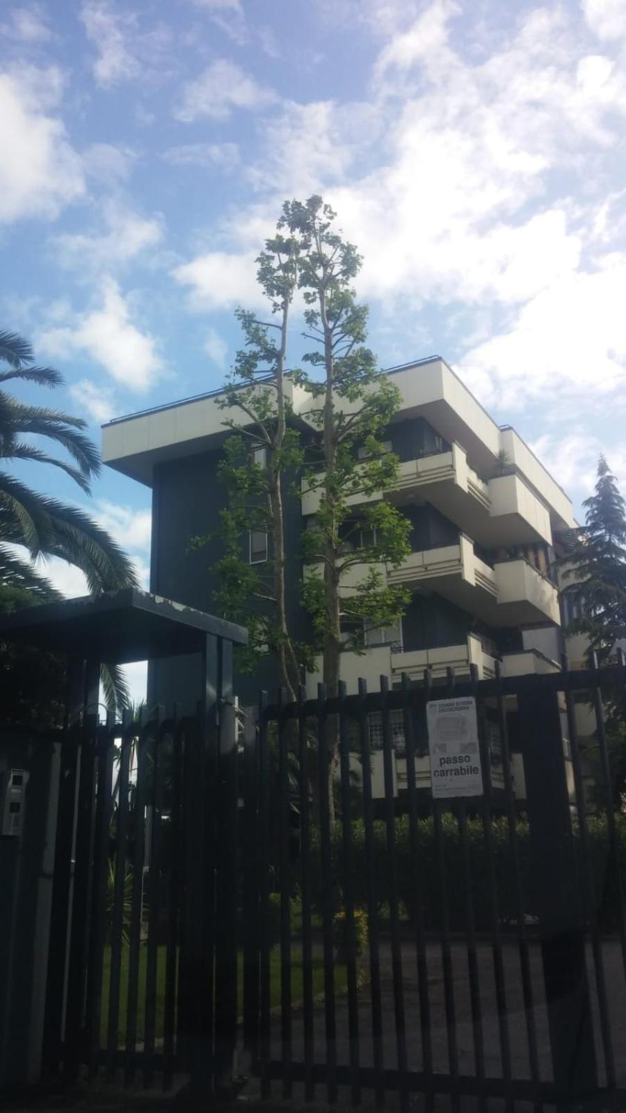 Casa Giordano Apartment Roma Ngoại thất bức ảnh